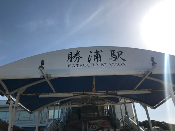 日本・千葉県「勝浦朝市」の写真