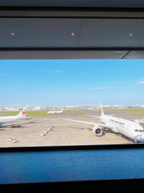 日本・北海道「道東旅行」の写真：羽田に来るといつも「すご！！！」ってなる...