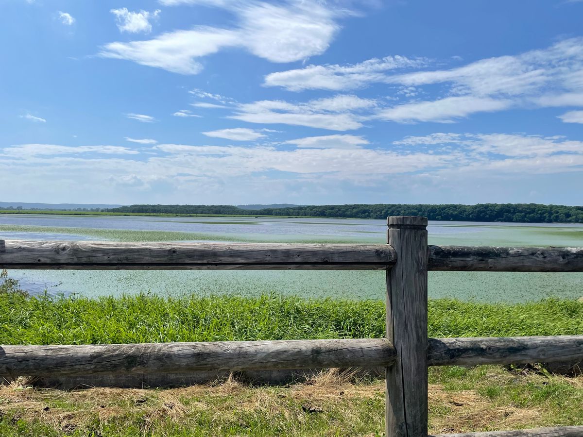 1枚目:二本松展望地
ここに辿り着くまで大変だった

2枚目はわからないけ...