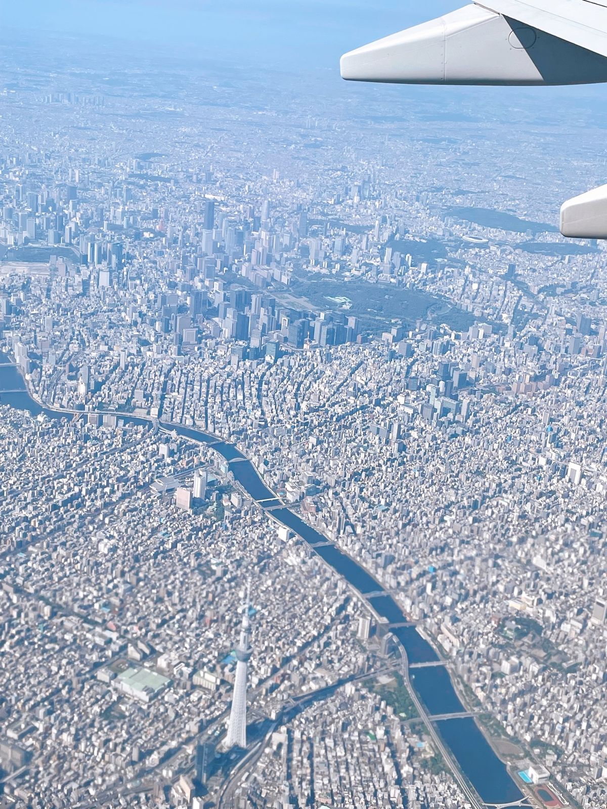 羽田に来るといつも「すご！！！」ってなる

釧路便はバスで、3列3列の小さ...