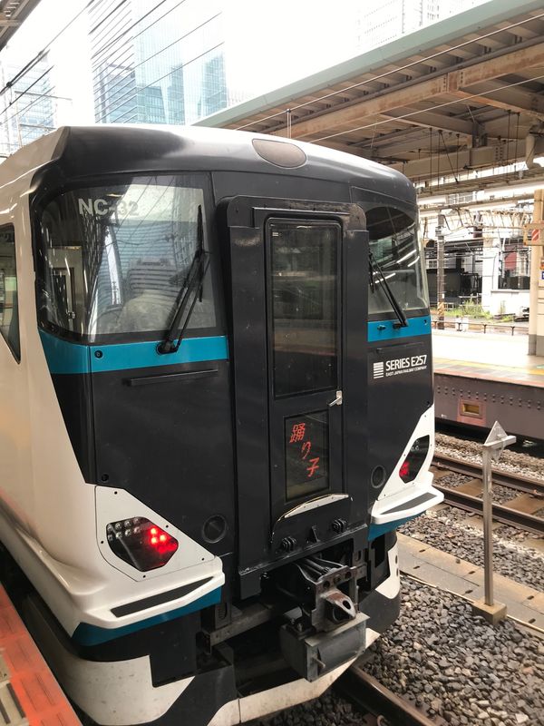 日本・静岡県「下田旅行」の写真