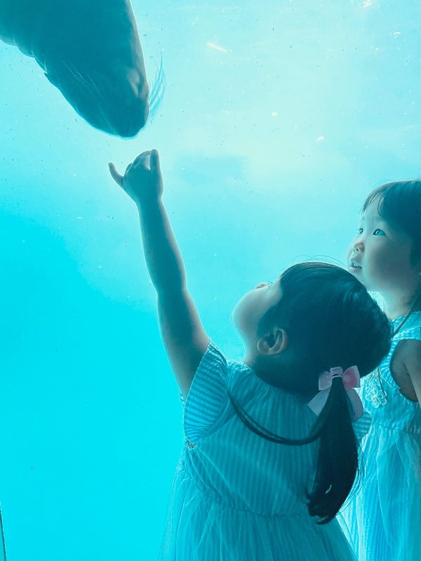 日本・大分県「大分、宮崎帰省」の写真