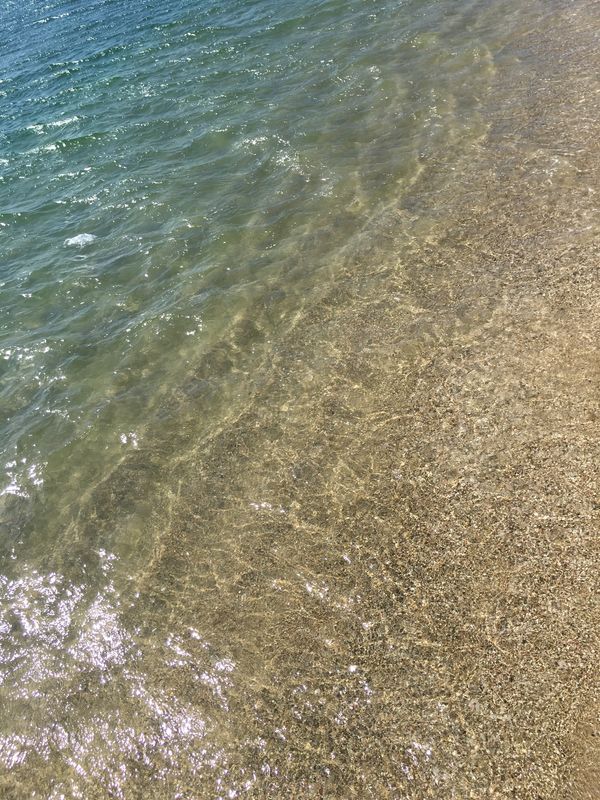 日本・和歌山県「友人に会いに和歌山へ」の写真：思いの外、海が綺麗😍