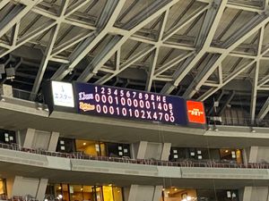 9月19日も引き続き
野球観戦⚾️
西武ライオンズの皆様、遠くからの応援📣...