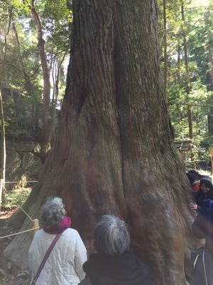 お伊勢参り
