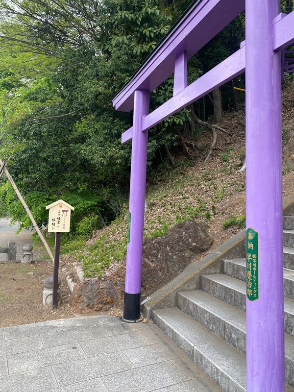 日本・栃木県「足利フラワーパークと足利の街並み」の写真