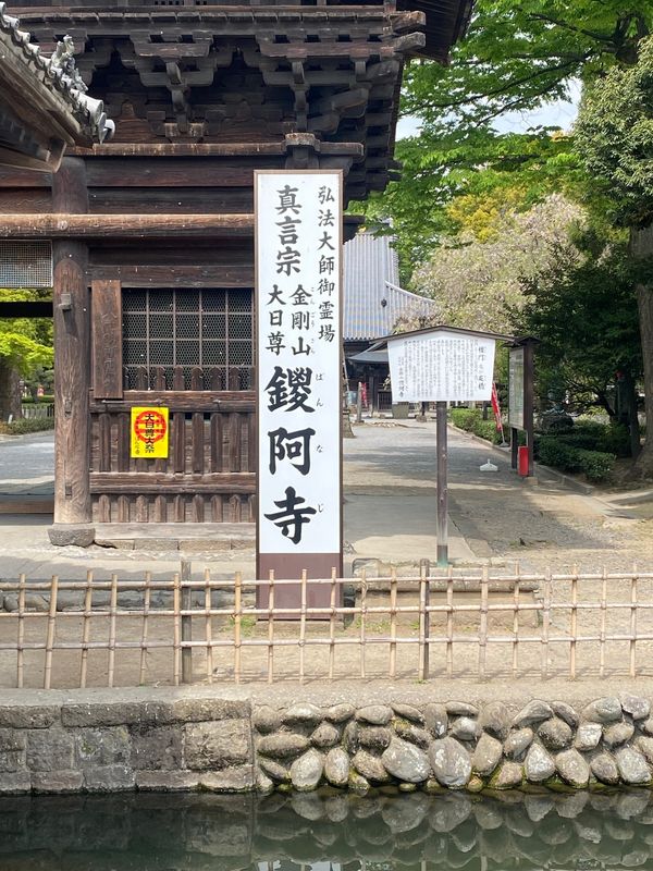 日本・栃木県「足利フラワーパークと足利の街並み」の写真