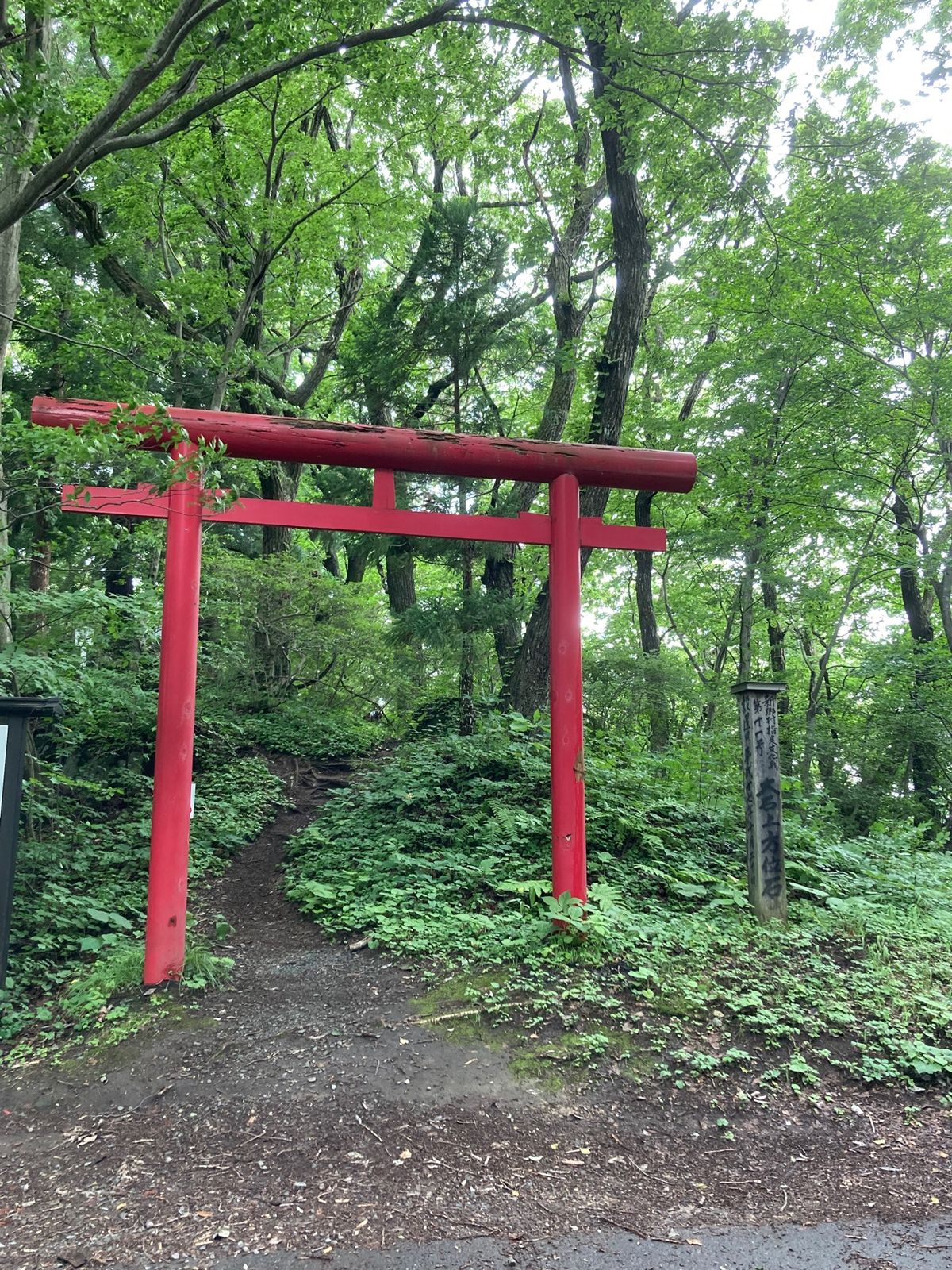 キリストの墓の後は、大石神ピラミッドへ。
星座石辺りまでは何とか行ったので...