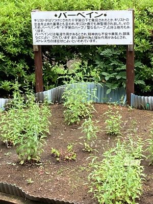 《戸》の町巡りからは外れて、ずっと行きたいと思っていた新郷村へ。昔は戸来村...