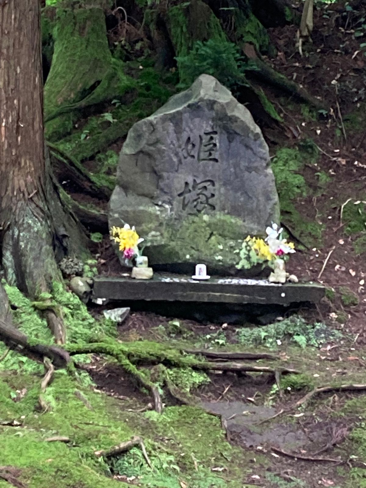 最後の戸の町、七戸へ。
ここも城趾に遺構はなく、かろうじて門が残っているだ...