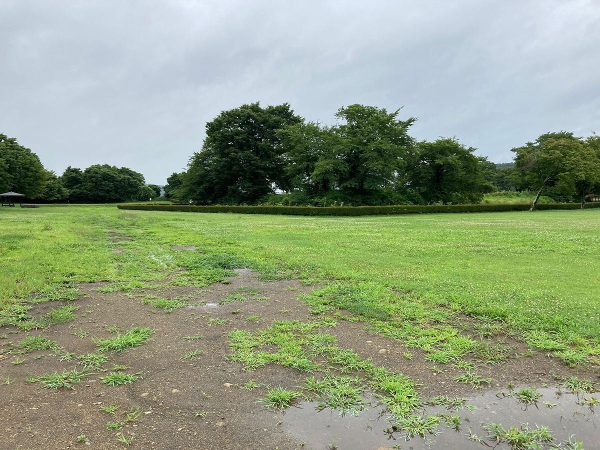 三番目は二戸市。二戸市にあるのに《九戸城跡》なのは、九戸氏の城だったからだ...