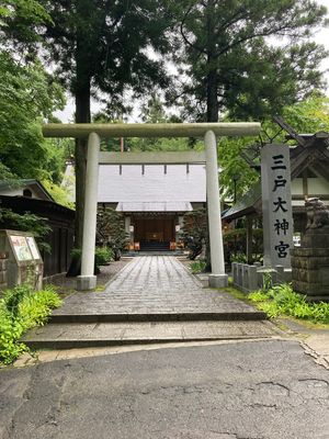 三戸大神宮⛩に立ち寄って参拝。
石段が苔むしていて風情があるけど、悪天候だ...