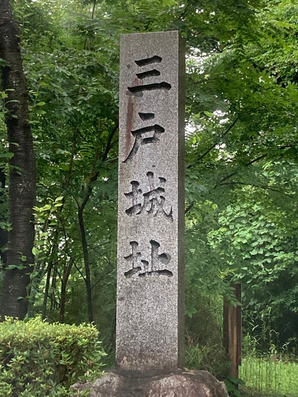 日本・青森県「戸の町を巡る＆超古代ロマン」の写真：一日目の最後は三戸町へ。
三戸城址は小高...