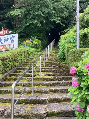 三戸大神宮⛩に立ち寄って参拝。
石段が苔むしていて風情があるけど、悪天候だ...