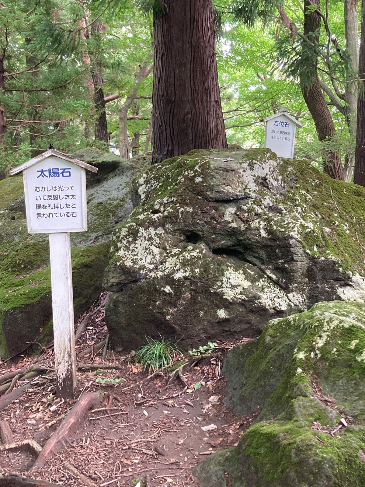 キリストの墓の後は、大石神ピラミッドへ。
星座石辺りまでは何とか行ったので...