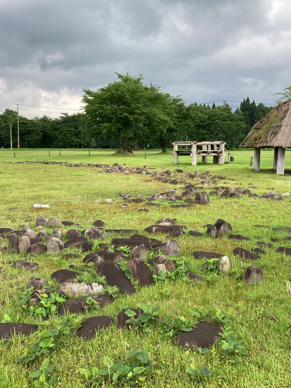 最後の目的地、日本のストーンサークル、大湯環状列石。
ここは春に来るところ...