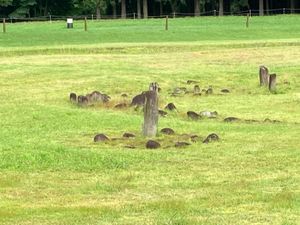 最後の目的地、日本のストーンサークル、大湯環状列石。
ここは春に来るところ...