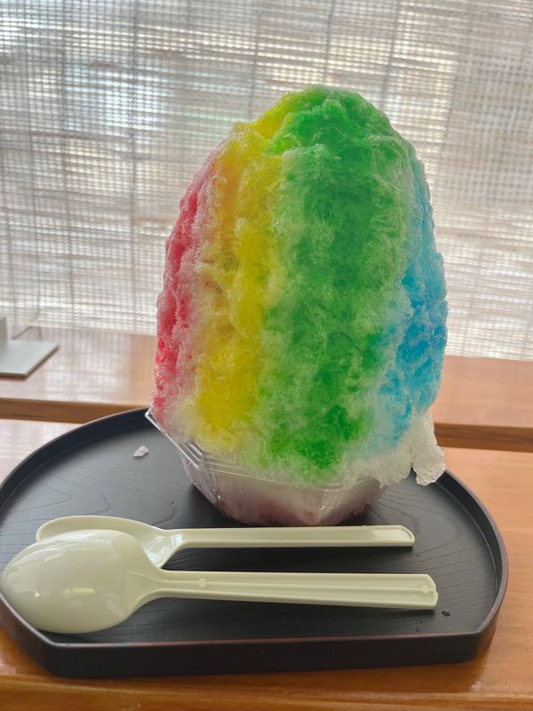 日本「栃木旅」の写真