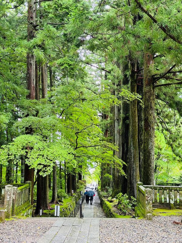 日本・長野県「長野 in 駒ヶ根」の写真