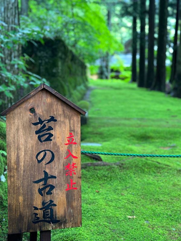 日本・長野県「長野 in 駒ヶ根」の写真