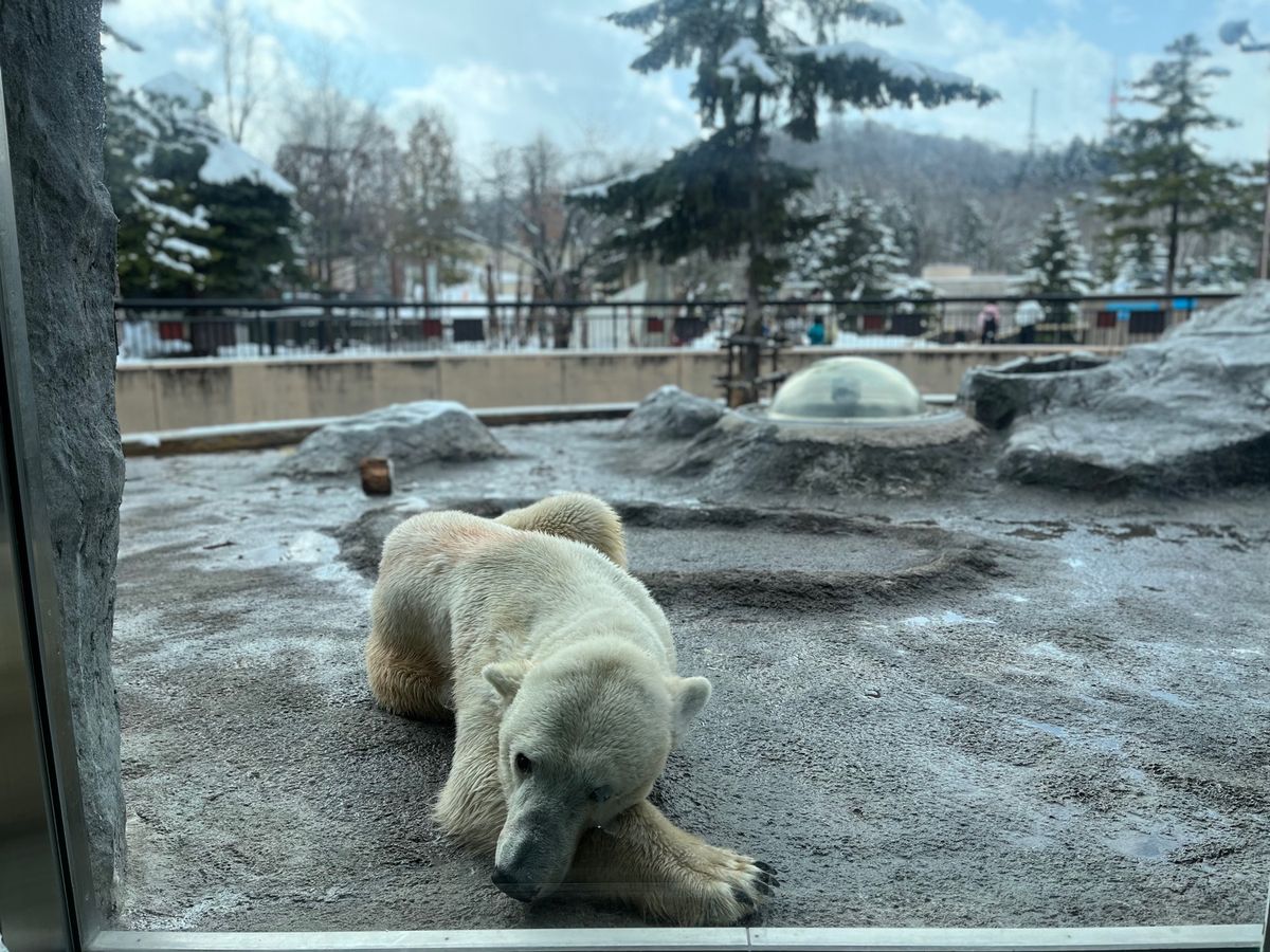 宿泊は
萩パーキングエリア
道の駅　びえい白金
道の駅　あさひやま

でキ...