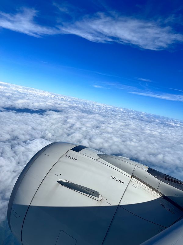 日本・沖縄県「沖縄旅」の写真：1日目 残波ビーチ、首里城