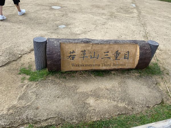 日本・和歌山県「奈良→和歌山→大阪　」の写真：奈良を一望できる若草山。鹿さんにも触れ合...