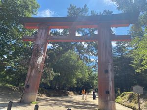 奈良公園、朝ワンコとお散歩