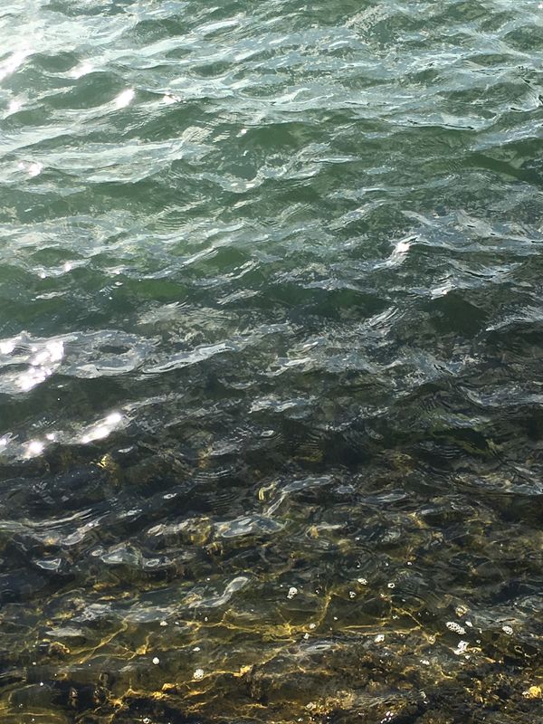 日本・福井県「ドライブandグルメ」の写真：そして最後に敦賀では有名なヨーロッパ軒の...