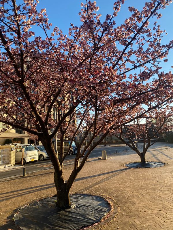 日本・静岡県「熱海へ」の写真：熱海は良いところ⭕️🙆