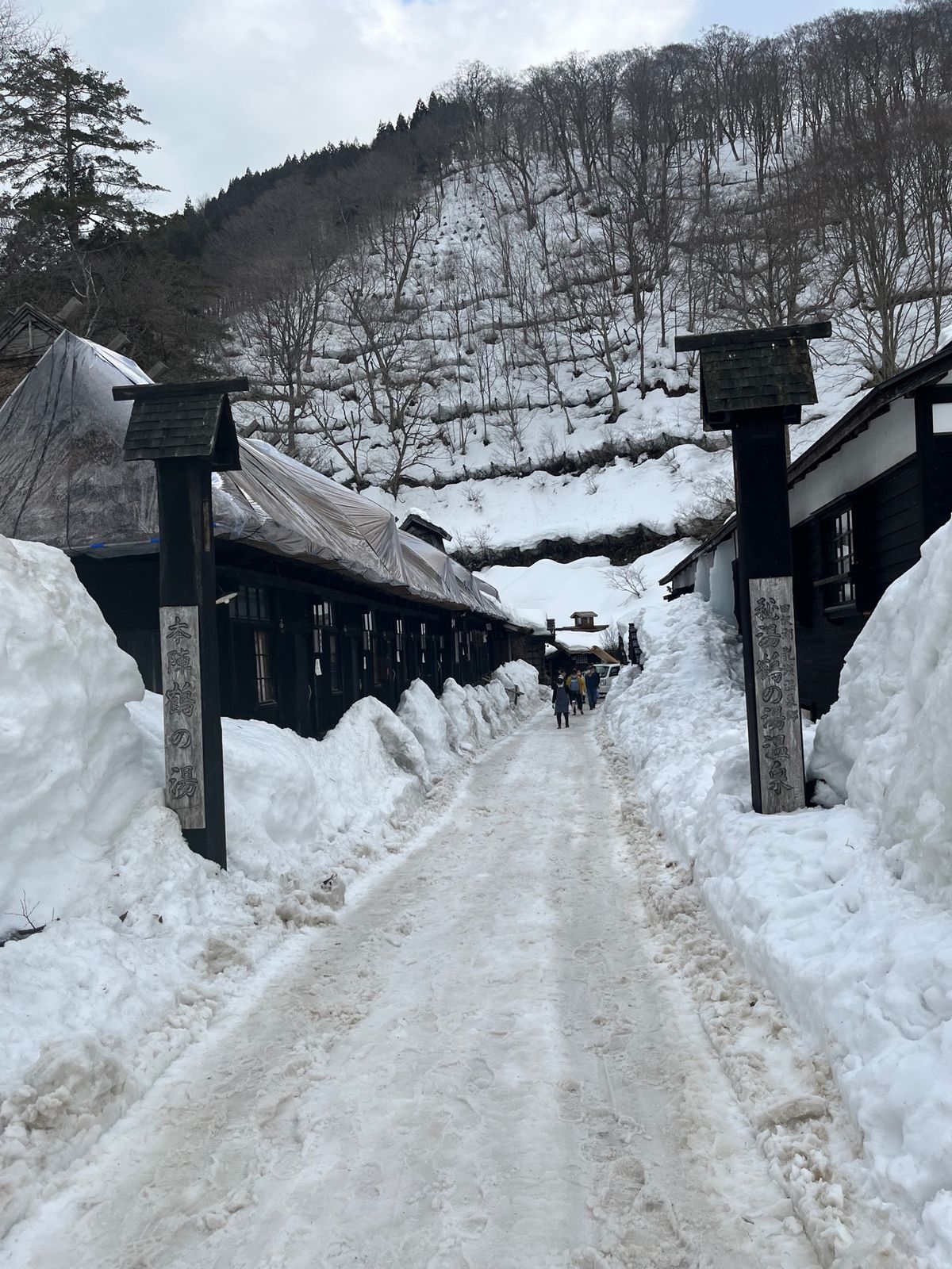 ジンギスカンを食べ
秘湯である乳頭温泉の鶴の湯に行き
夜はノーザンハピネッ...