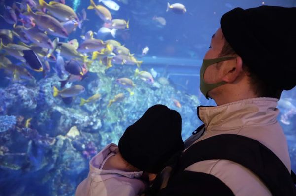 日本・三重県「伊勢＆鳥羽旅行」の写真
