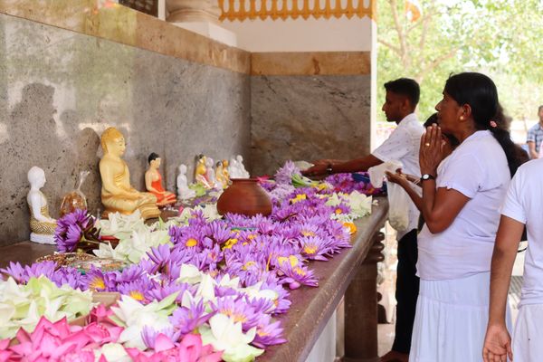 スリランカ・コロンボ「スリランカ🇱🇰」の写真：アヌラーダプラではガイドを依頼し見所は制覇。