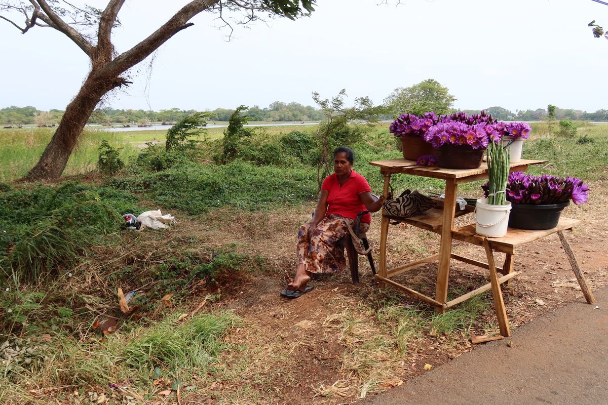 昨日のトゥクトゥクをチャーターし目指すはアヌラーダプラ。スリランカの古都で...