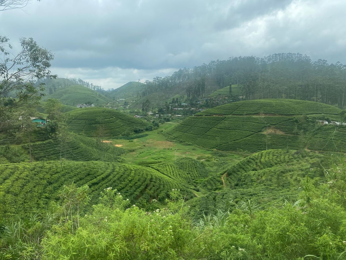 旅5日目
キャンディからエッラへ約6時間の鉄道旅。
事前にネットで予約して...