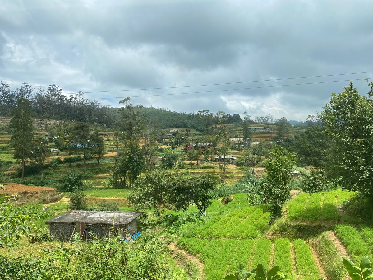 旅5日目
キャンディからエッラへ約6時間の鉄道旅。
事前にネットで予約して...