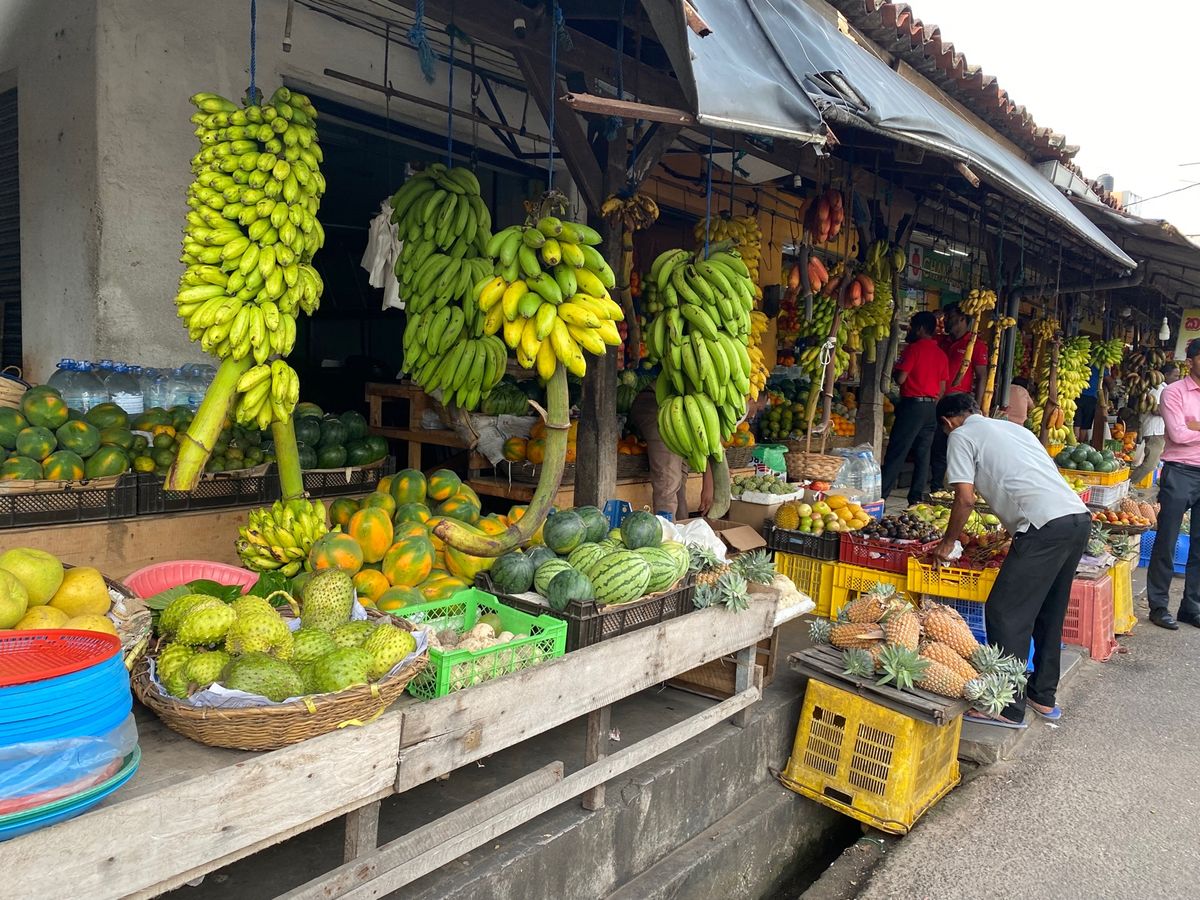 ゴールにある今日のゲストハウスに到着後、運転手さんにお願いし、ストルトフィ...