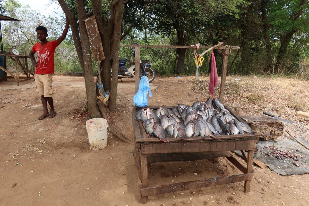 昨日のトゥクトゥクをチャーターし目指すはアヌラーダプラ。スリランカの古都で...