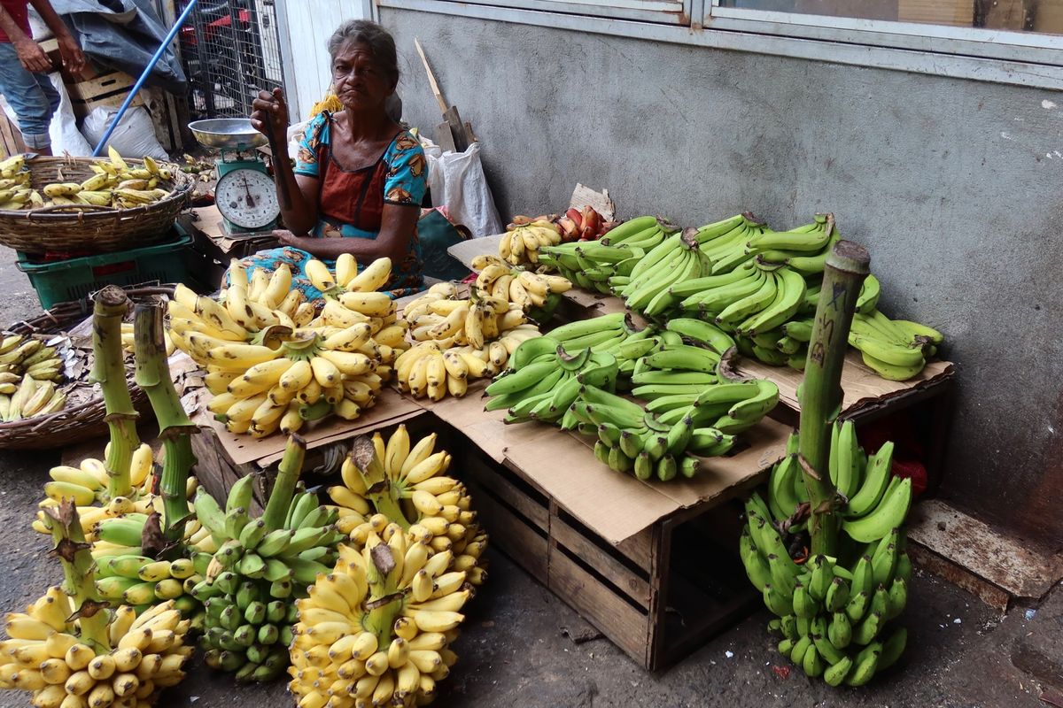 旅9日目
朝からトゥクトゥクでコロンボのペターマーケットへ。