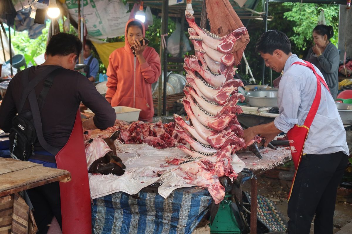3日目。早朝から30分歩いてヴィエンチャンのモーニングマーケットへ。ラオス...