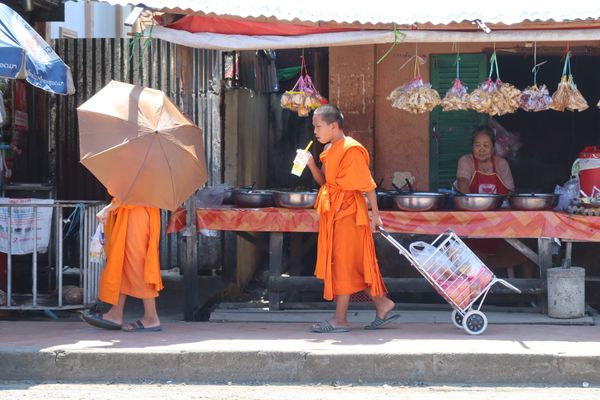 ラオス人民民主共和国・ルアンパバーン「ラオス🇱🇦」の写真：ゆっくり観光できるのもこの日が最後。
い...