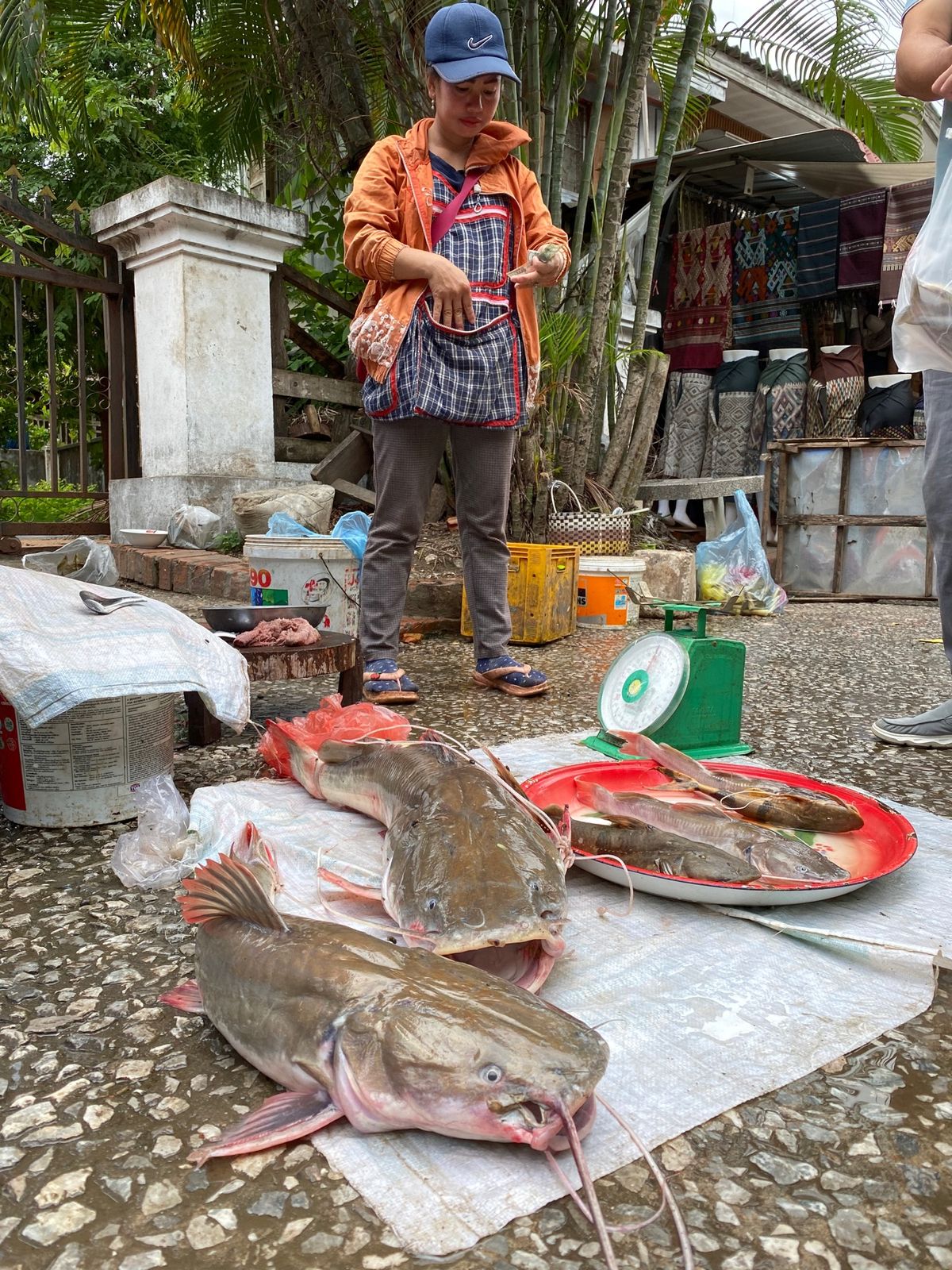 5日目。
朝食後、写真を撮りながら街歩き。友達にお土産を渡しに行ったり、モ...