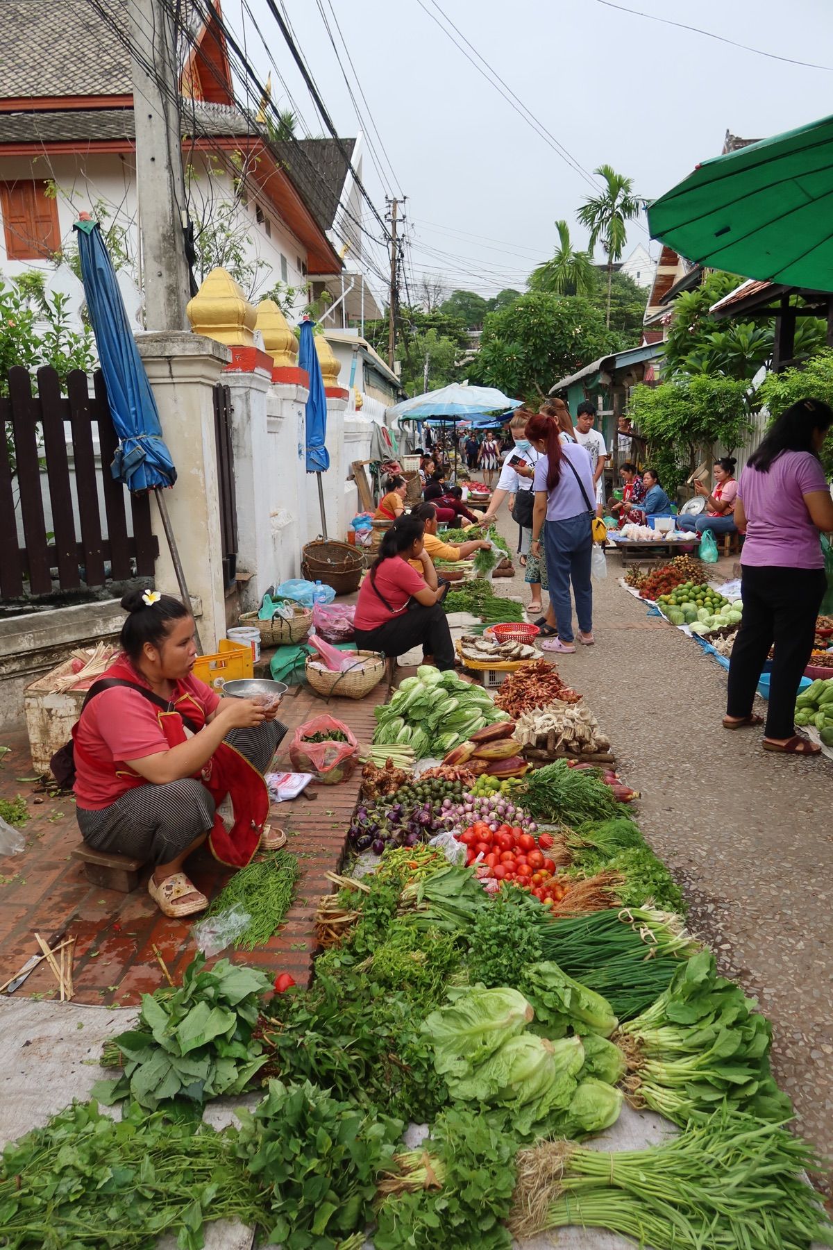 7日目の朝。
夜にお好み焼きを作る約束をしたので食材調達のためモーニングマ...