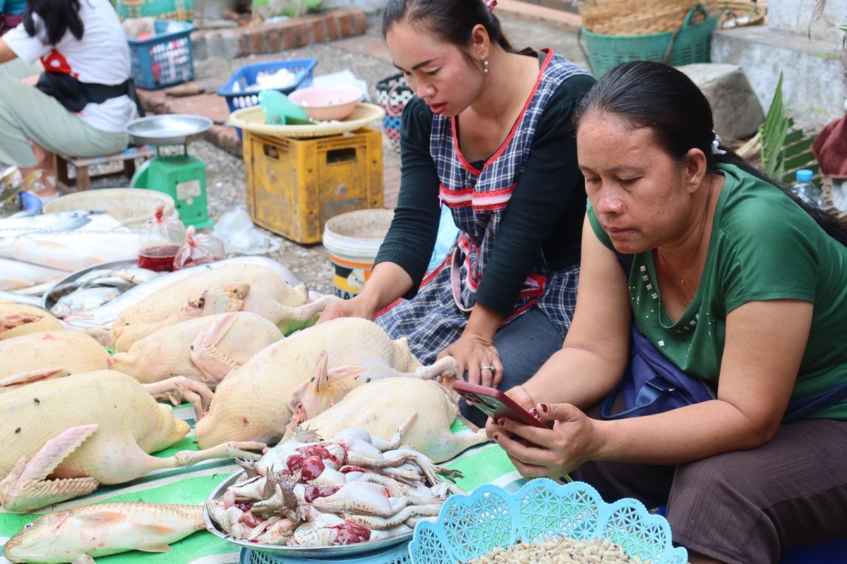 7日目の朝。
夜にお好み焼きを作る約束をしたので食材調達のためモーニングマ...