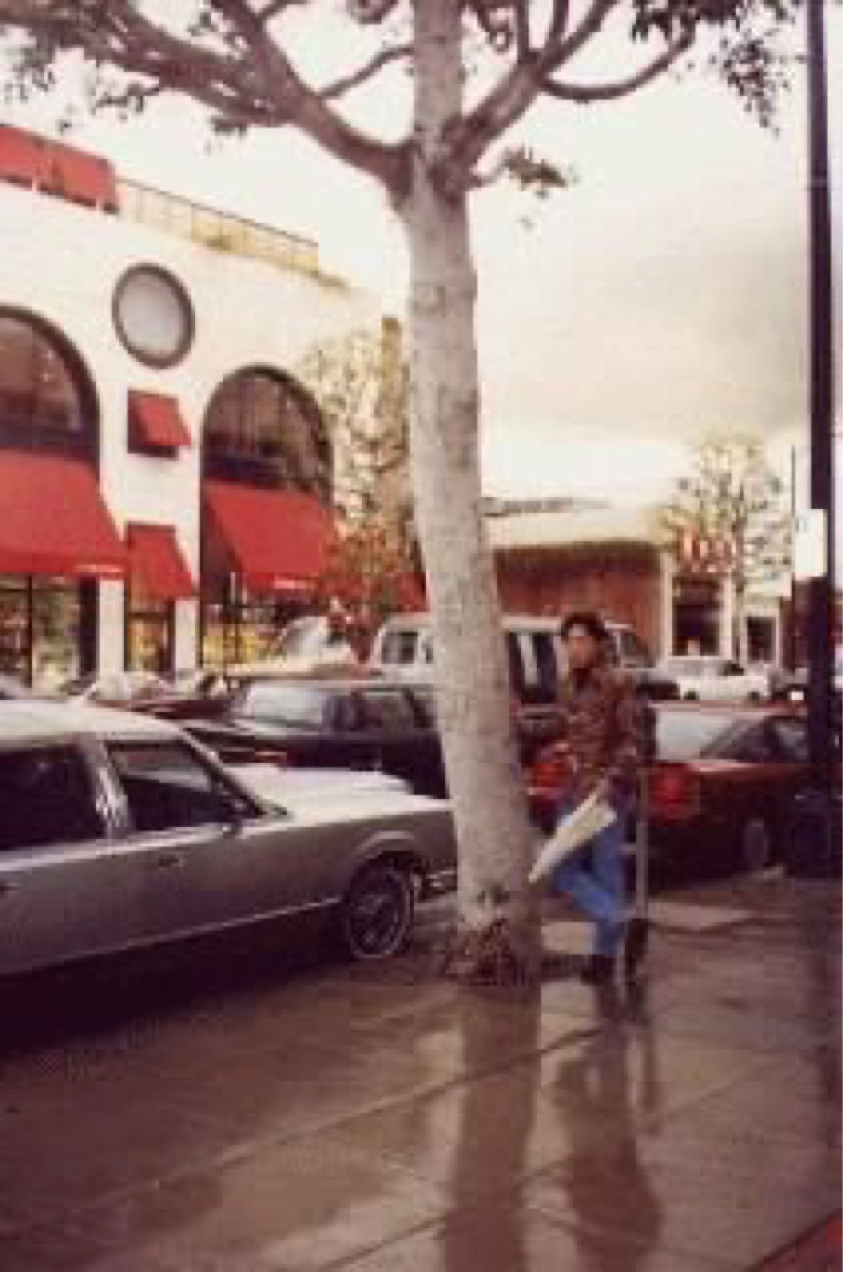 ダウンタウン、ロデオドライブ、ディズニーランド