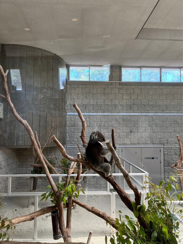 日本・淡路島「家族旅行」の写真