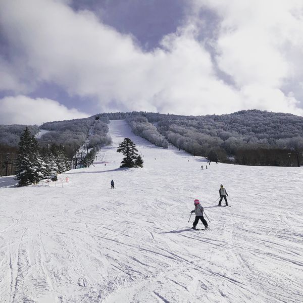 日本・長野県「志賀高原スキー」の写真