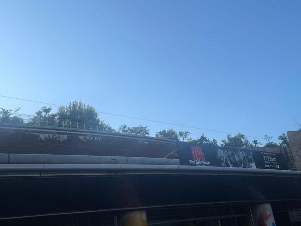 日本・大阪府「MR.BIG LIVE」の写真