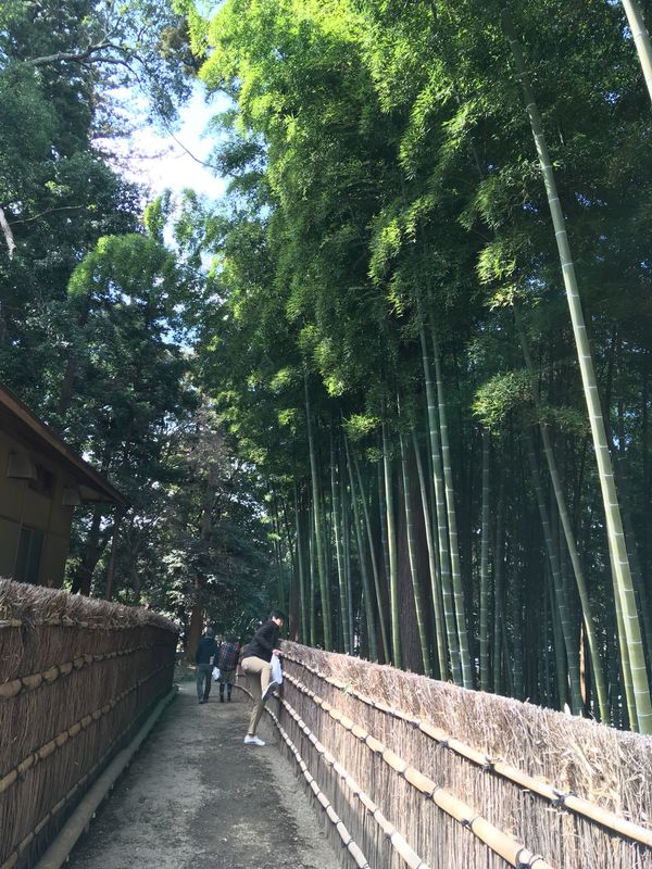 日本・茨城県「茨城県　水戸市」の写真