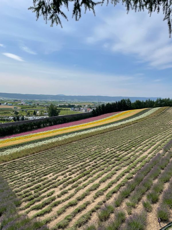日本・北海道「夏の北海道」の写真